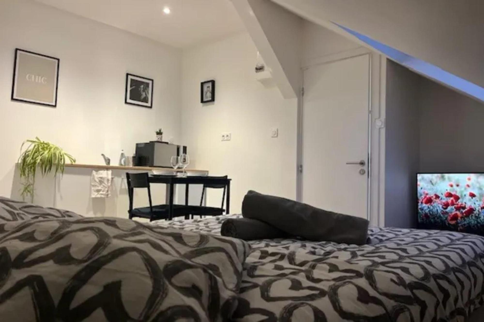 Vakantiehuis Cosy Rent Studio 3 Tv-wifi Proche Gare Straatsburg