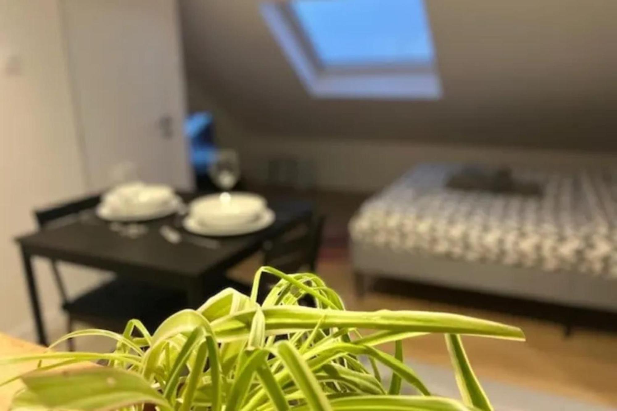 Vakantiehuis Cosy Rent Studio 3 Tv-wifi Proche Gare Straatsburg